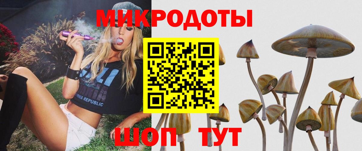 Галлюциногенные грибы Psilocybe  Галлюциногенные грибы GOLDEN TEACHER  продажа наркотиков  Нижневартовск  Вход с VPN 